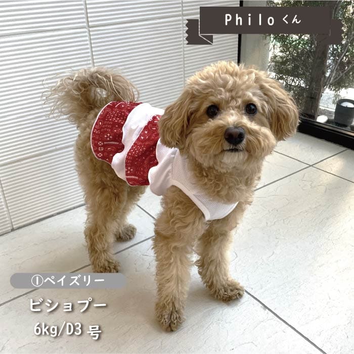 接触冷感&amp;濡らして冷たい<br>デザインクールウェア 小型犬・胴長・ダックス - VERY-PET