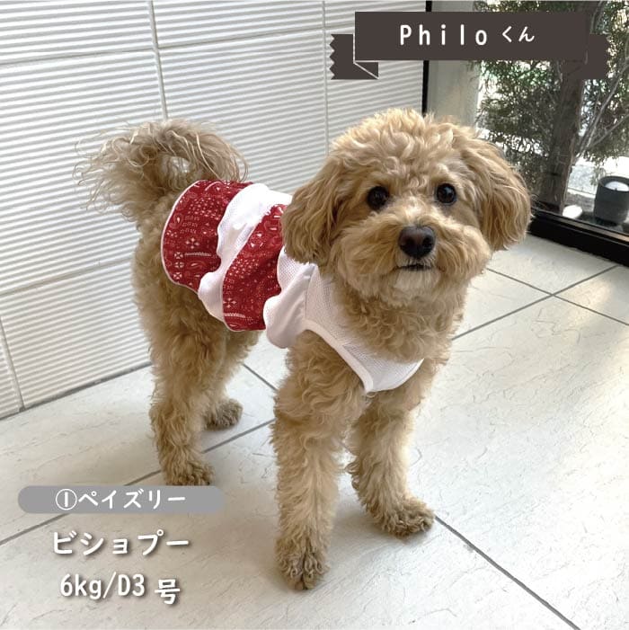 接触冷感&濡らして冷たい<br>デザインクールウェア 小型犬・胴長・ダックス - VERY-PET