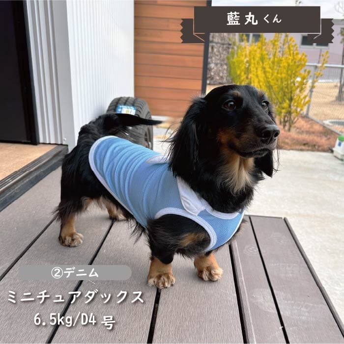 接触冷感&濡らして冷たい<br>デザインクールウェア 小型犬・胴長・ダックス - VERY-PET