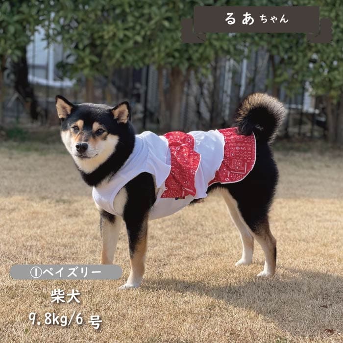 接触冷感&濡らして冷たい<br>デザインクールウェア 中型犬・コーギー - VERY-PET