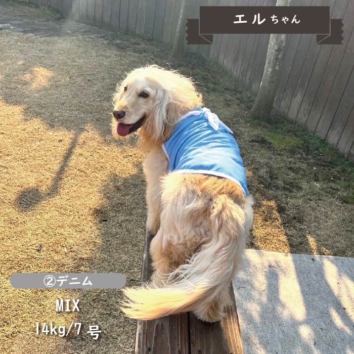 接触冷感&濡らして冷たい<br>デザインクールウェア 中型犬・コーギー - VERY-PET