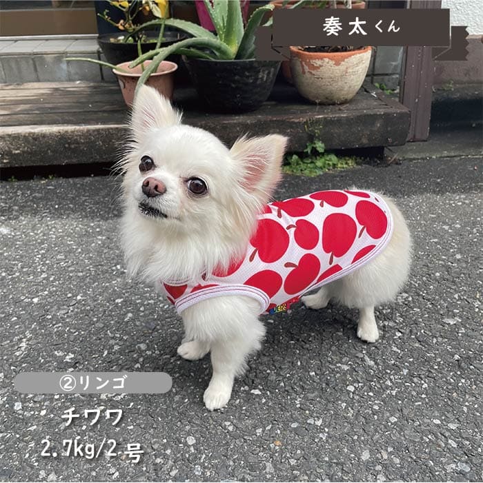 接触冷感&濡らして冷たい<br>クールタンクトップ 小型犬・胴長・ダックス - VERY-PET