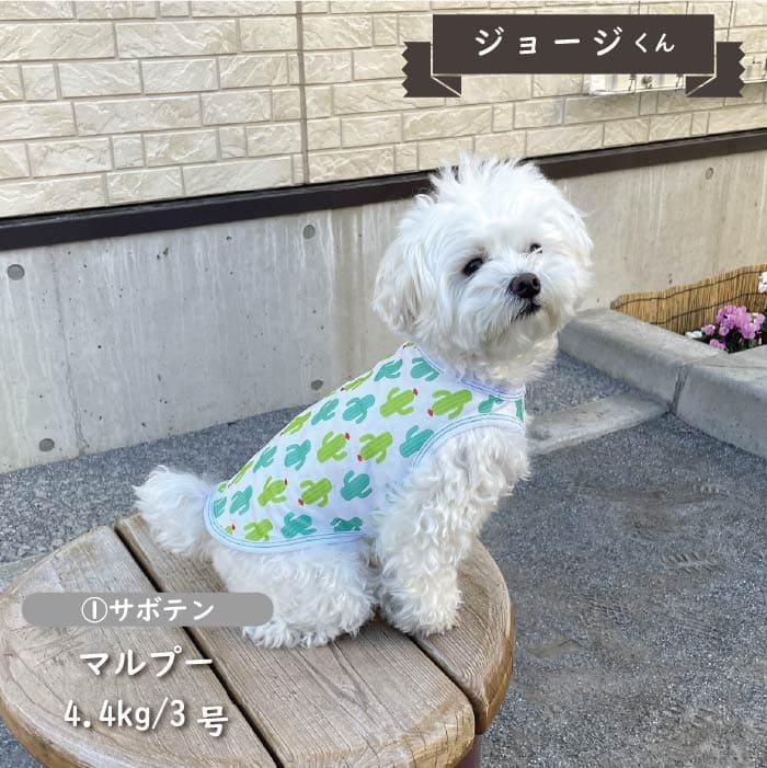 接触冷感&濡らして冷たい<br>クールタンクトップ 小型犬・胴長・ダックス - VERY-PET