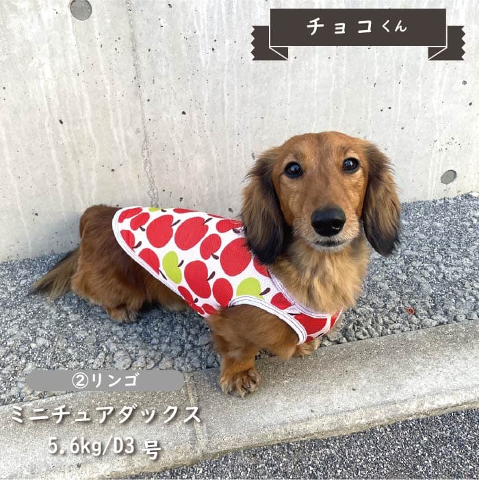 接触冷感&濡らして冷たい<br>クールタンクトップ 小型犬・胴長・ダックス - VERY-PET