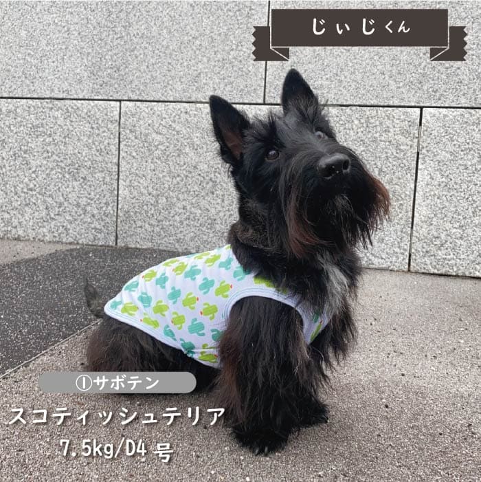 接触冷感&濡らして冷たい<br>クールタンクトップ 小型犬・胴長・ダックス - VERY-PET