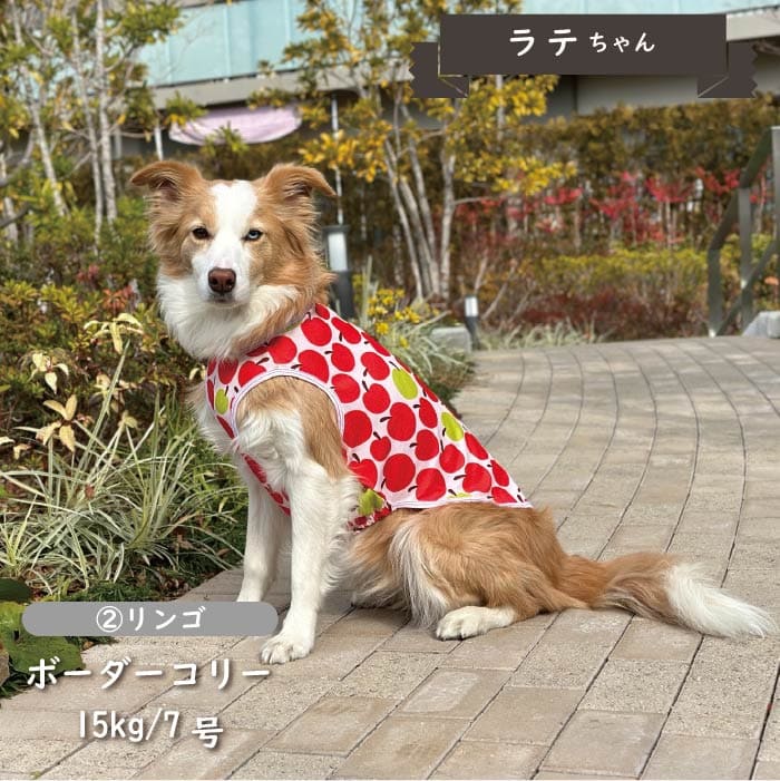 接触冷感&濡らして冷たい<br>クールタンクトップ 中型犬・コーギー - VERY-PET