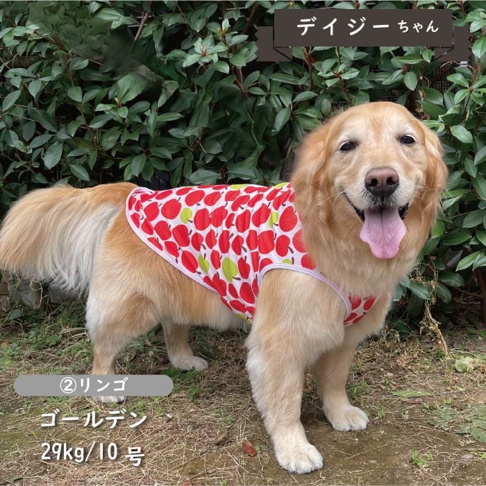 接触冷感&濡らして冷たい<br>クールタンクトップ 大型犬 - VERY-PET