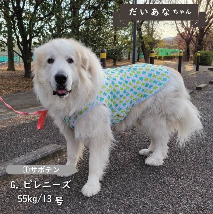 接触冷感&濡らして冷たい<br>クールタンクトップ 超大型犬 - VERY-PET