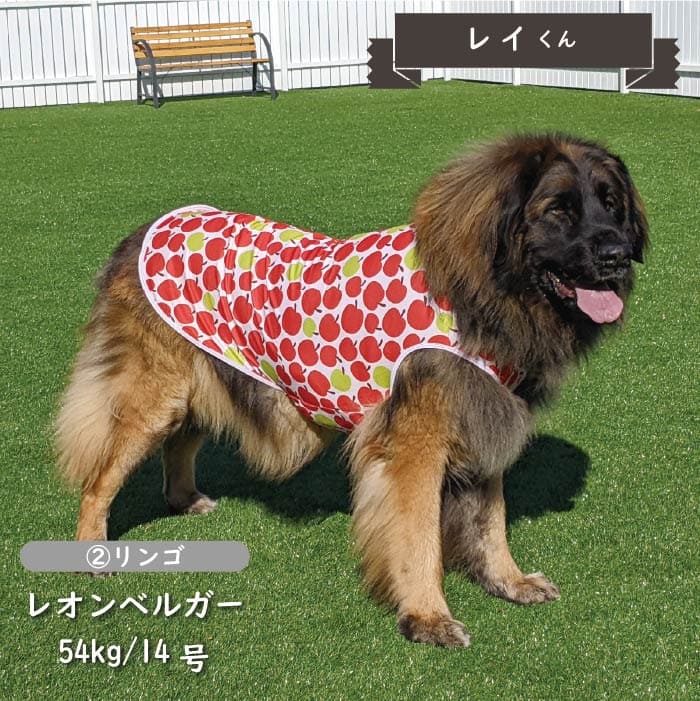 接触冷感&濡らして冷たい<br>クールタンクトップ 超大型犬 - VERY-PET