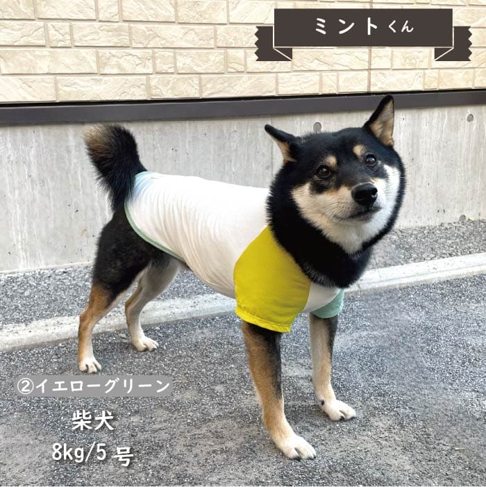 接触冷感&濡らして冷たい<br>カラーブロッククールTシャツ 小型犬・胴長・ダックス - VERY-PET