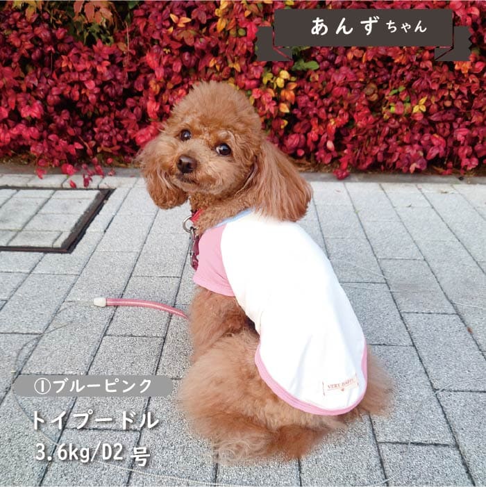 接触冷感&濡らして冷たい<br>カラーブロッククールTシャツ 小型犬・胴長・ダックス - VERY-PET