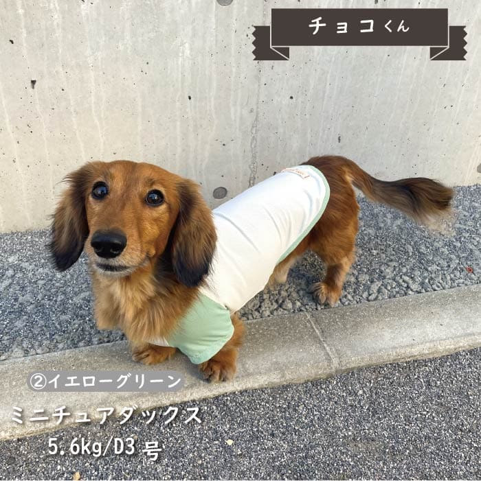 接触冷感&濡らして冷たい<br>カラーブロッククールTシャツ 小型犬・胴長・ダックス - VERY-PET