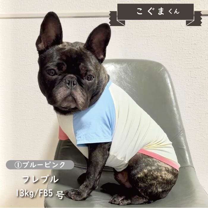 接触冷感&濡らして冷たい<br>カラーブロッククールTシャツ フレブル・パグ - VERY-PET