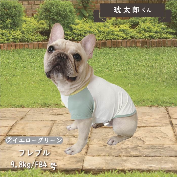 接触冷感&濡らして冷たい<br>カラーブロッククールTシャツ フレブル・パグ - VERY-PET