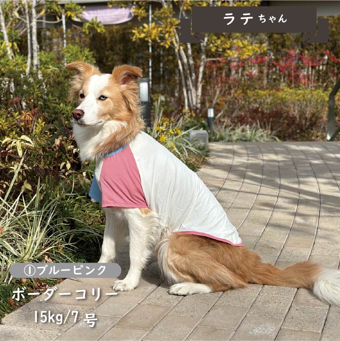 接触冷感&濡らして冷たい<br>カラーブロッククールTシャツ 中型犬・コーギー - VERY-PET