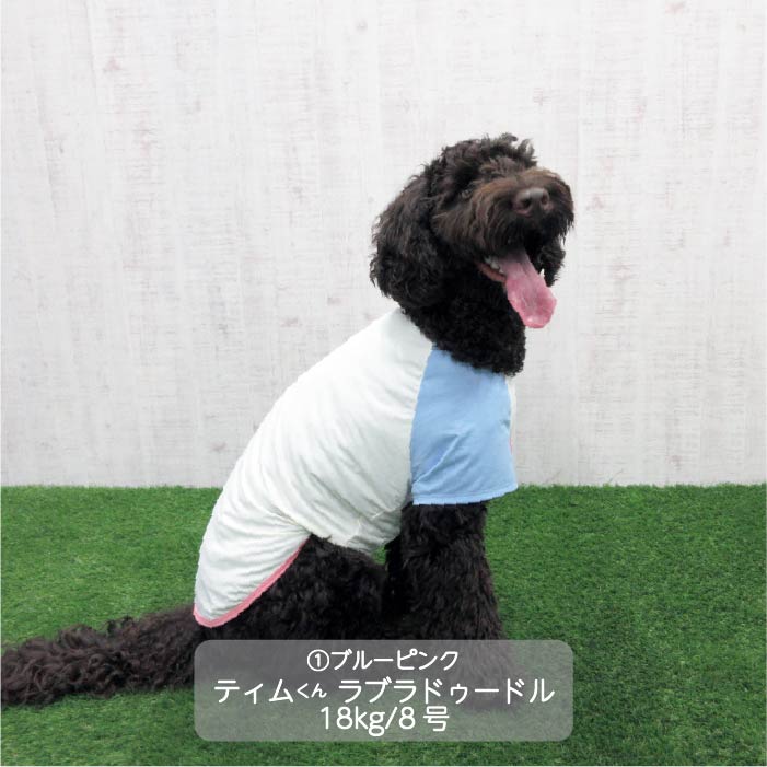 <font size="3">大型犬</font> <br>接触冷感&濡らして冷たい<br>カラーブロッククールTシャツ