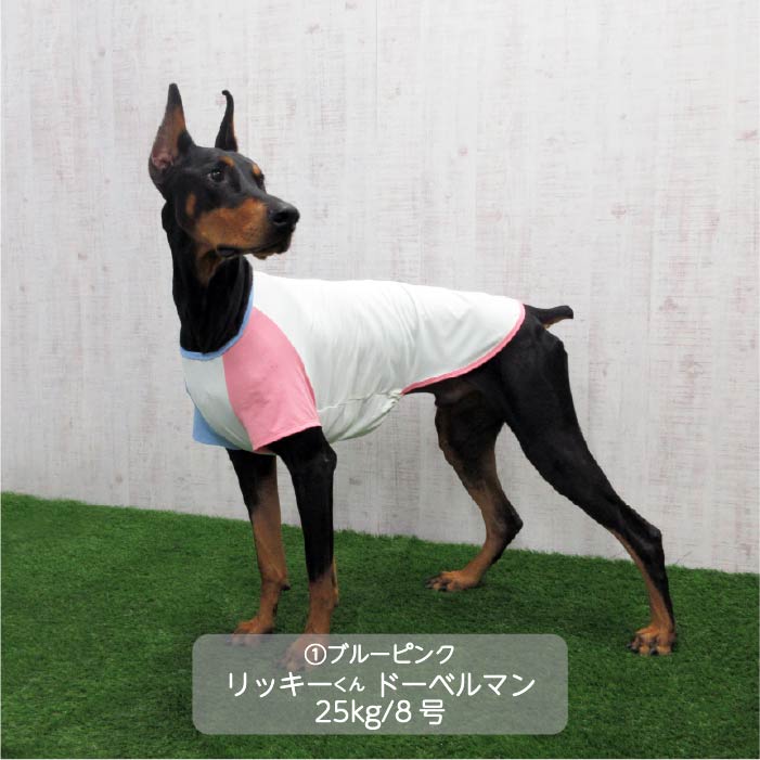 <font size="3">大型犬</font> <br>接触冷感&濡らして冷たい<br>カラーブロッククールTシャツ