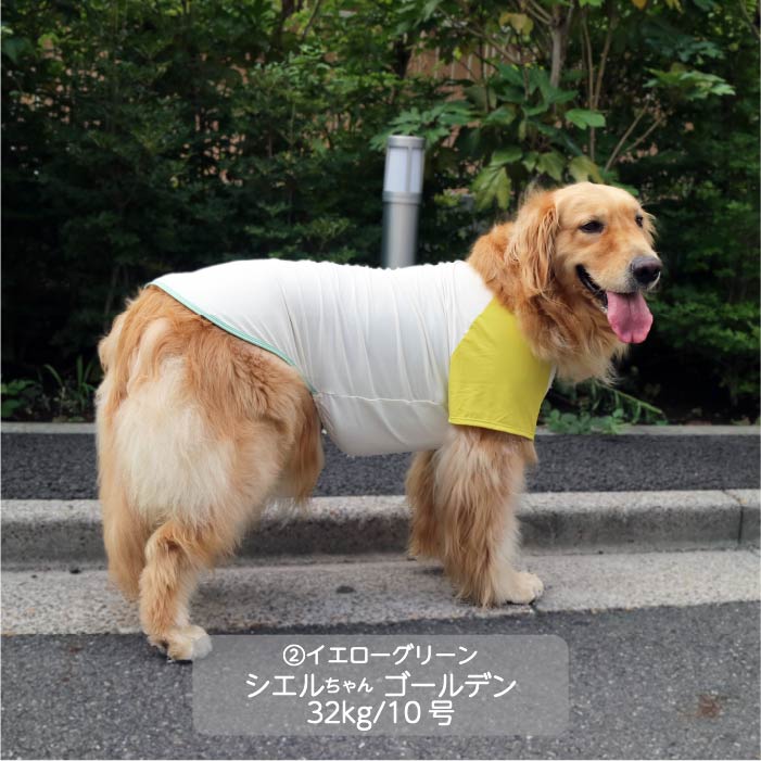 <font size="3">大型犬</font> <br>接触冷感&濡らして冷たい<br>カラーブロッククールTシャツ