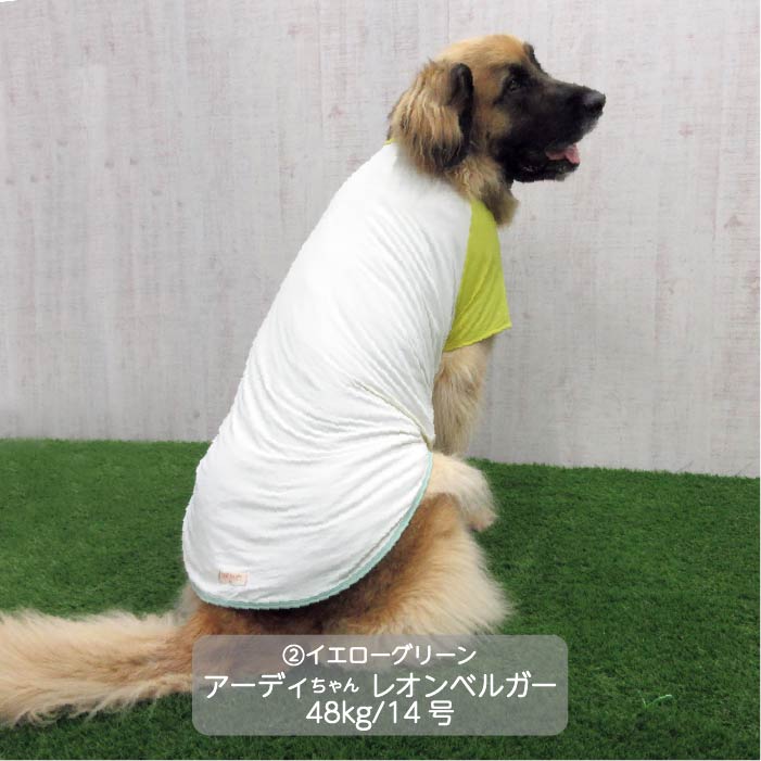 <font size="3">超大型犬</font> <br>接触冷感&濡らして冷たい<br>カラーブロッククールTシャツ