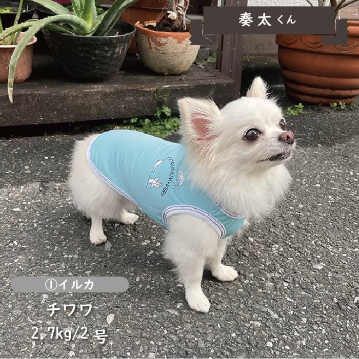 接触冷感&濡らして冷たい<br>イラストクールタンクトップ 小型犬・胴長・ダックス - VERY-PET