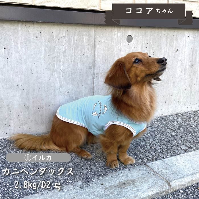 接触冷感&濡らして冷たい<br>イラストクールタンクトップ 小型犬・胴長・ダックス - VERY-PET