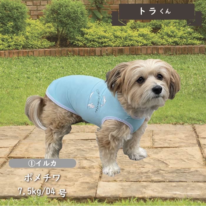 接触冷感&濡らして冷たい<br>イラストクールタンクトップ 小型犬・胴長・ダックス - VERY-PET