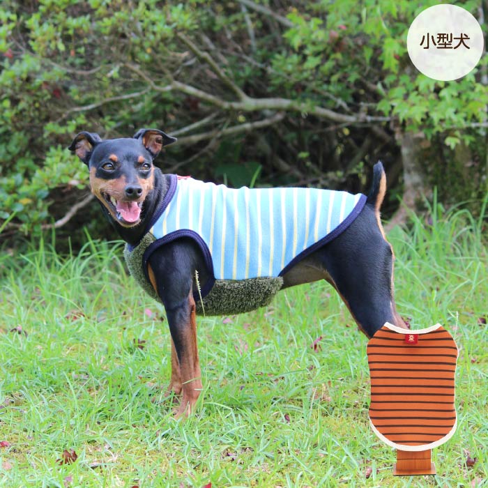 <font color="red">最新秋冬服20％OFFセール</font><br><font size="3">小型犬・胴長・ダックス</font> <br>ストレッチボーダータンク - VERY-PET
