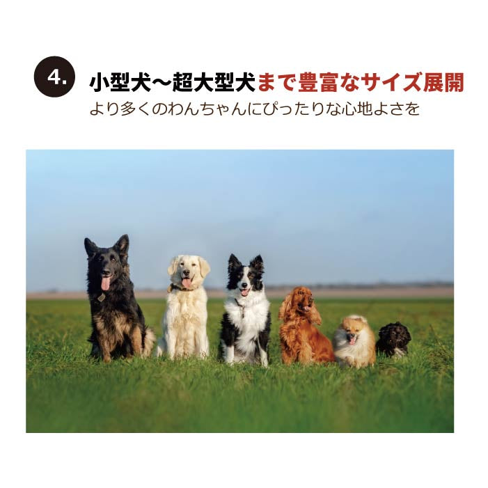<font color="red">最新秋冬服20％OFFセール</font><br><font size="3">小型犬・胴長・ダックス</font> <br>ストレッチボーダータンク - VERY-PET