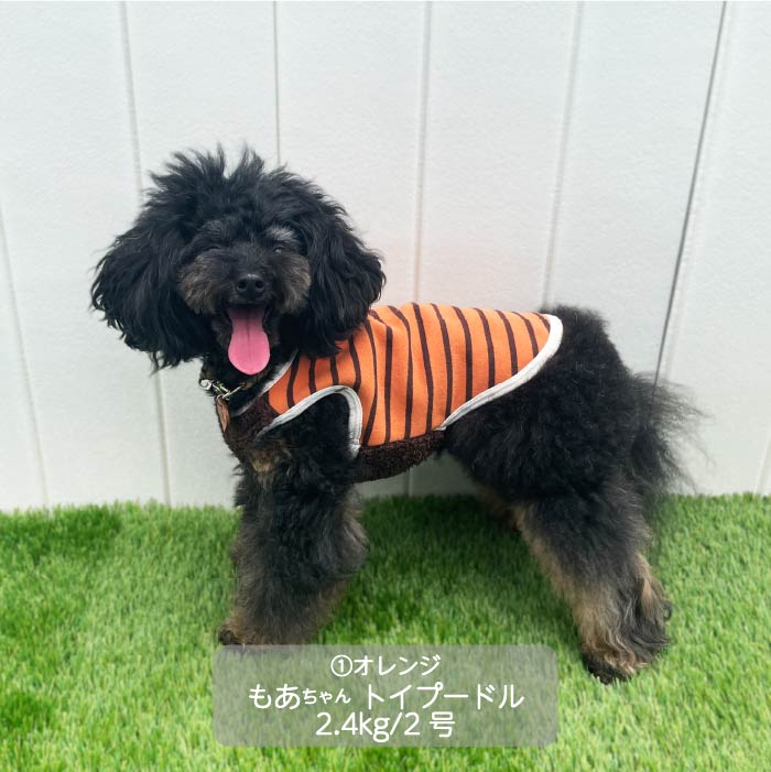 <font color="red">最新秋冬服20％OFFセール</font><br><font size="3">小型犬・胴長・ダックス</font> <br>ストレッチボーダータンク - VERY-PET