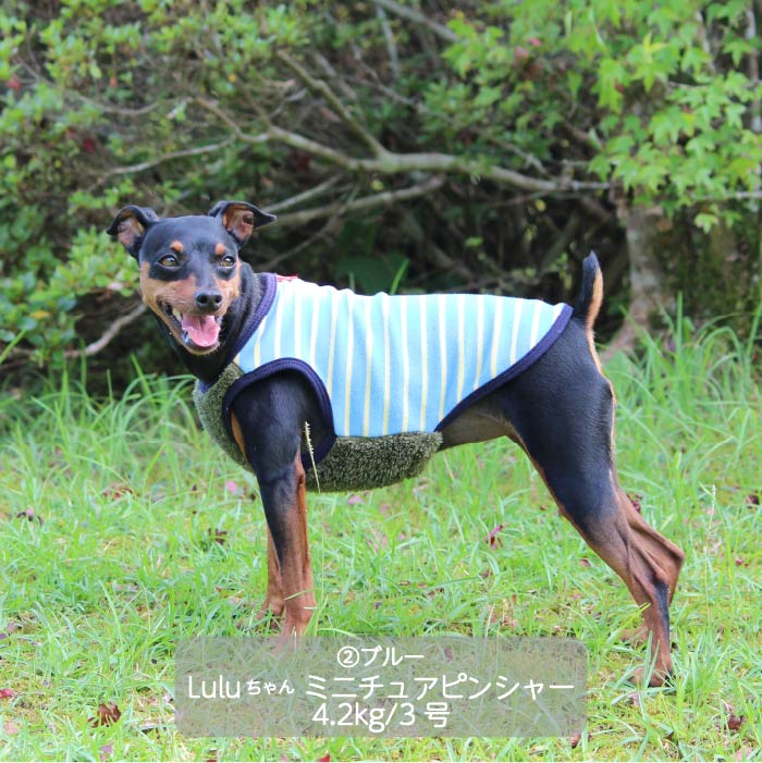 <font color="red">最新秋冬服20％OFFセール</font><br><font size="3">小型犬・胴長・ダックス</font> <br>ストレッチボーダータンク - VERY-PET