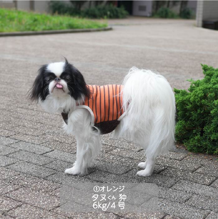 <font color="red">最新秋冬服20％OFFセール</font><br><font size="3">小型犬・胴長・ダックス</font> <br>ストレッチボーダータンク - VERY-PET