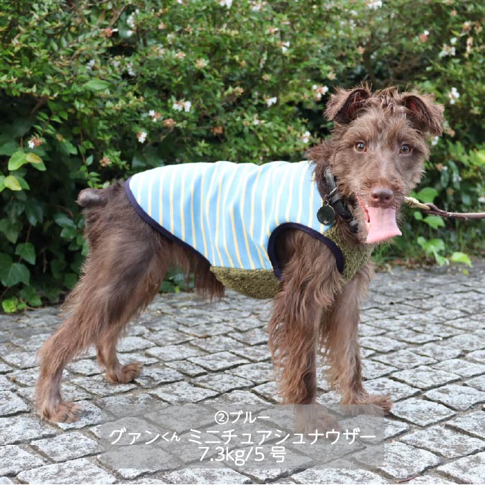 <font color="red">最新秋冬服20％OFFセール</font><br><font size="3">小型犬・胴長・ダックス</font> <br>ストレッチボーダータンク - VERY-PET