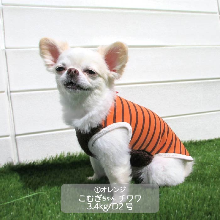 <font color="red">最新秋冬服20％OFFセール</font><br><font size="3">小型犬・胴長・ダックス</font> <br>ストレッチボーダータンク - VERY-PET