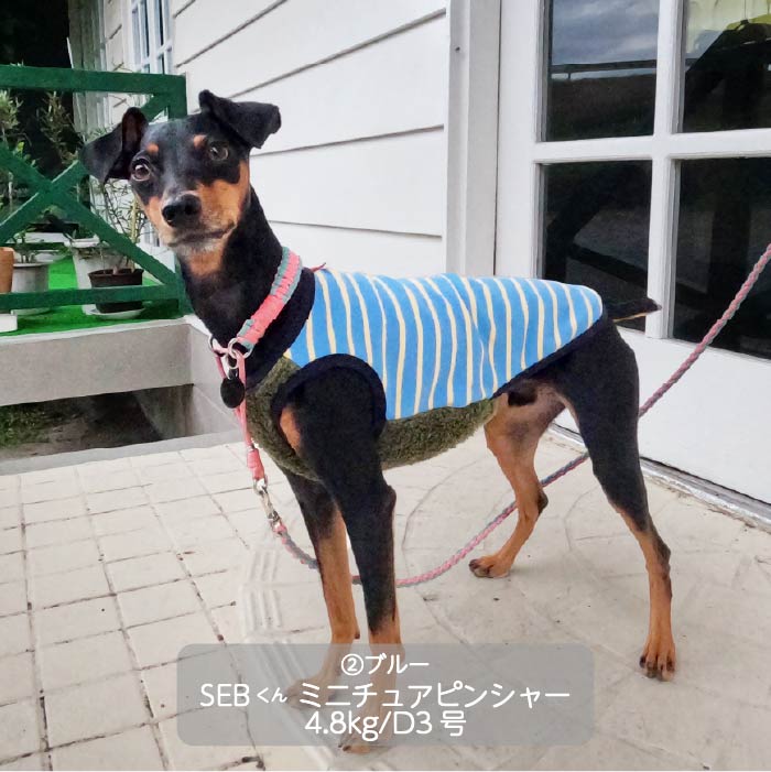 <font color="red">最新秋冬服20％OFFセール</font><br><font size="3">小型犬・胴長・ダックス</font> <br>ストレッチボーダータンク - VERY-PET