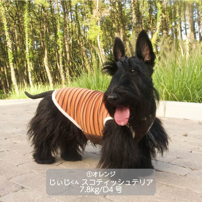 <font color="red">最新秋冬服20％OFFセール</font><br><font size="3">小型犬・胴長・ダックス</font> <br>ストレッチボーダータンク - VERY-PET