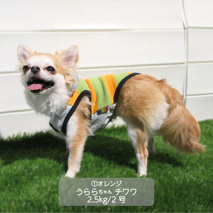 <font color="red">最新秋冬服20％OFFセール</font><br><font size="3">小型犬・胴長・ダックス</font> <br>フード付ボーダーニットタンク - VERY-PET