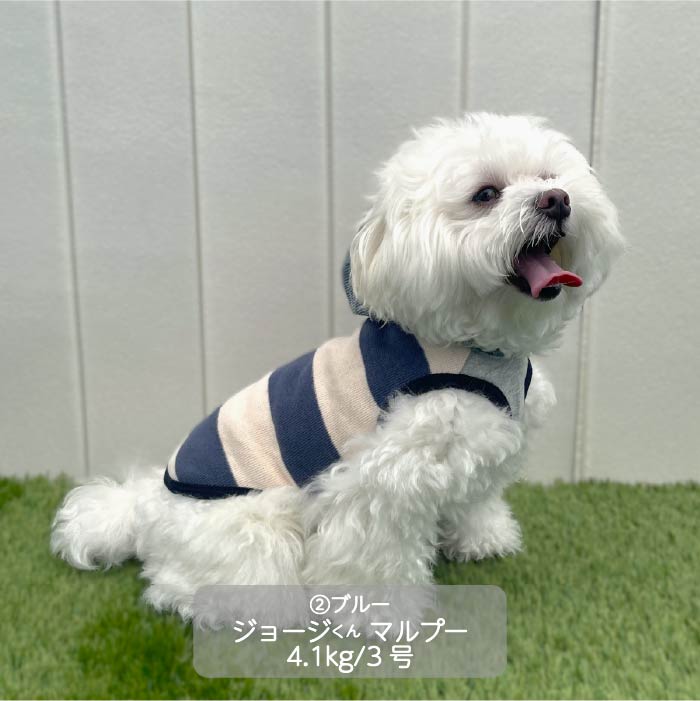 <font size="3">小型犬・胴長・ダックス</font> <br>フード付ボーダーニットタンク