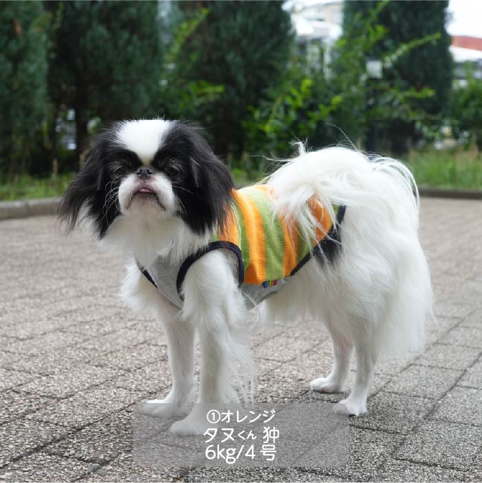 <font color="red">最新秋冬服20％OFFセール</font><br><font size="3">小型犬・胴長・ダックス</font> <br>フード付ボーダーニットタンク - VERY-PET