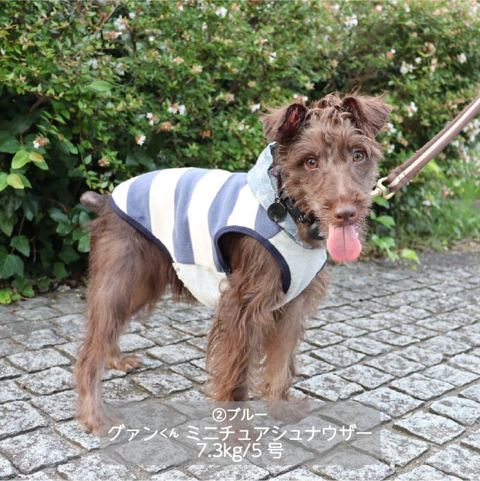 <font color="red">最新秋冬服20％OFFセール</font><br><font size="3">小型犬・胴長・ダックス</font> <br>フード付ボーダーニットタンク - VERY-PET