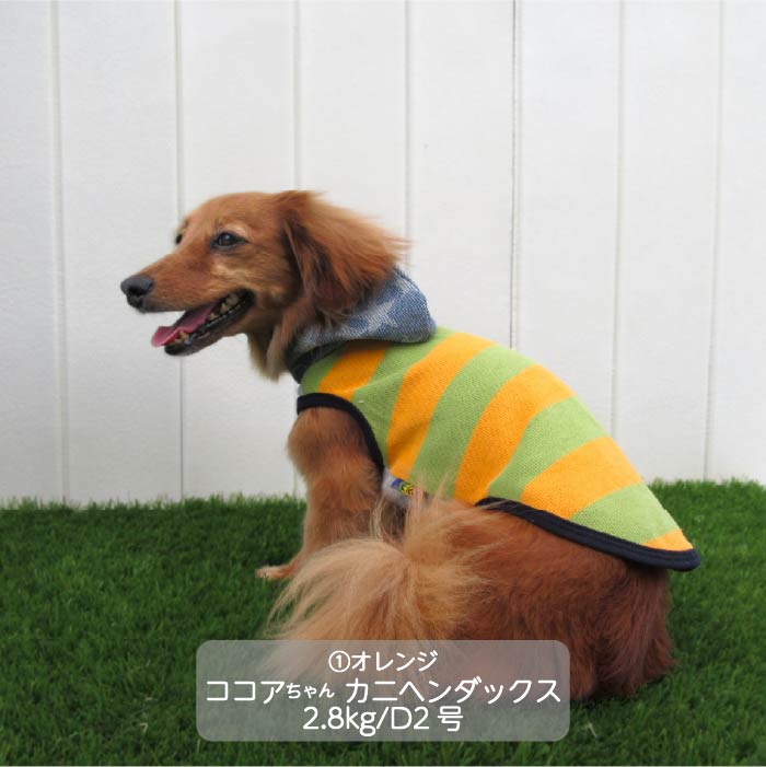 <font color="red">最新秋冬服20％OFFセール</font><br><font size="3">小型犬・胴長・ダックス</font> <br>フード付ボーダーニットタンク - VERY-PET