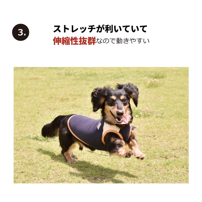 <font color="red">最新秋冬服20％OFFセール</font><br><font size="3">小型犬・胴長・ダックス</font> <br>裏ボアタンク - VERY-PET