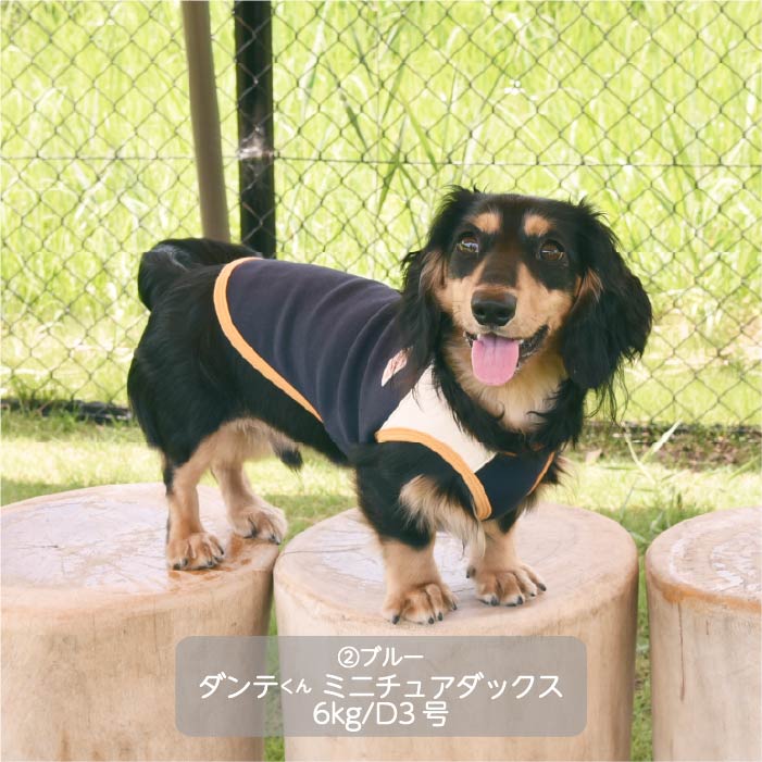 <font color="red">最新秋冬服20％OFFセール</font><br><font size="3">小型犬・胴長・ダックス</font> <br>裏ボアタンク - VERY-PET
