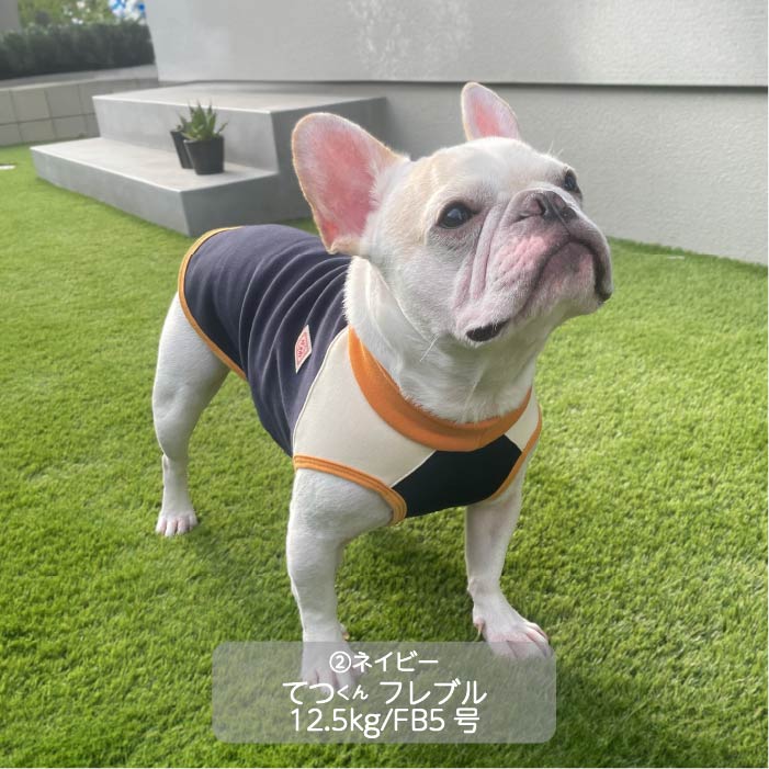 <font color="red">最新秋冬服20％OFFセール</font><br><font size="3">フレブル・パグ</font> <br>裏ボアタンク - VERY-PET