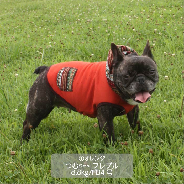 2024年冬服 おしゃれなフレブルパグに！ニットフード付タンク – VERY-PET