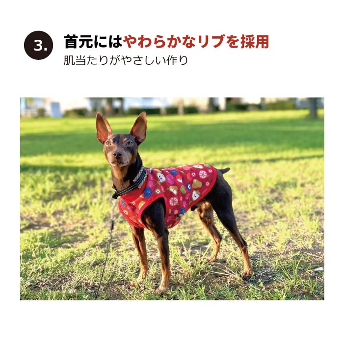 <font color="red">最新秋冬服20％OFFセール</font><br><font size="3">小型犬・胴長・ダックス</font> <br>プリントタンク - VERY-PET