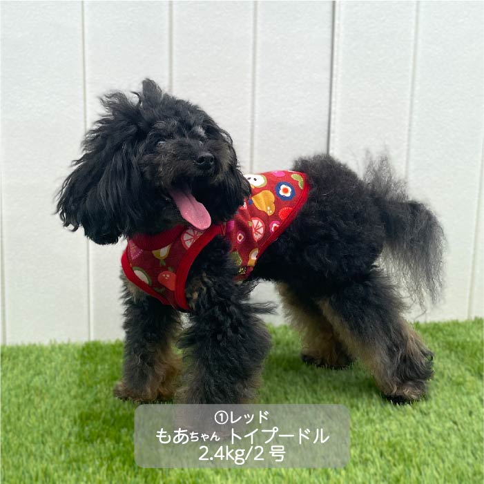 <font color="red">最新秋冬服20％OFFセール</font><br><font size="3">小型犬・胴長・ダックス</font> <br>プリントタンク - VERY-PET