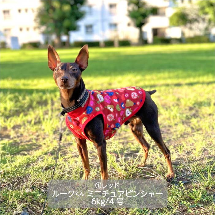 <font color="red">最新秋冬服20％OFFセール</font><br><font size="3">小型犬・胴長・ダックス</font> <br>プリントタンク - VERY-PET