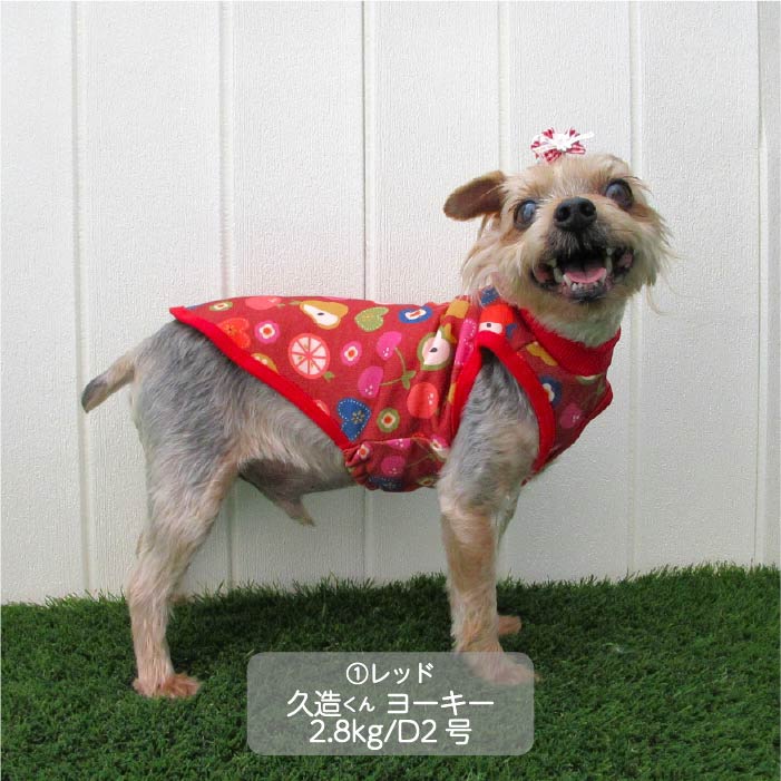<font color="red">最新秋冬服20％OFFセール</font><br><font size="3">小型犬・胴長・ダックス</font> <br>プリントタンク - VERY-PET