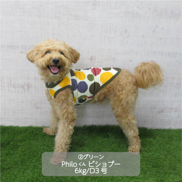 <font color="red">最新秋冬服20％OFFセール</font><br><font size="3">小型犬・胴長・ダックス</font> <br>プリントタンク - VERY-PET