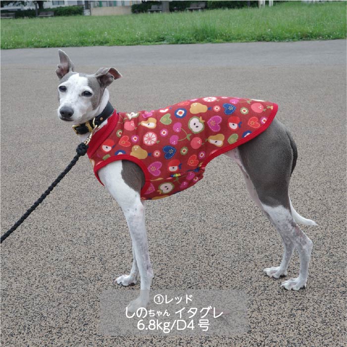 <font color="red">最新秋冬服20％OFFセール</font><br><font size="3">小型犬・胴長・ダックス</font> <br>プリントタンク - VERY-PET